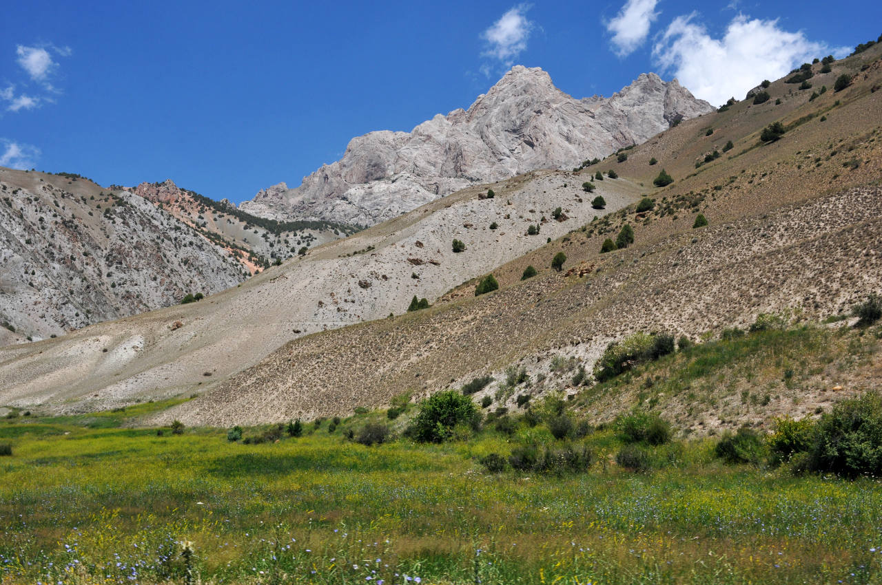 Долина реки Чапдара, image of landscape/habitat.