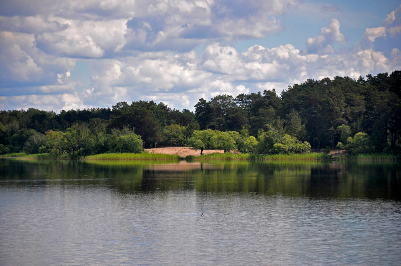 Окрестности села Мамонтово, image of landscape/habitat.