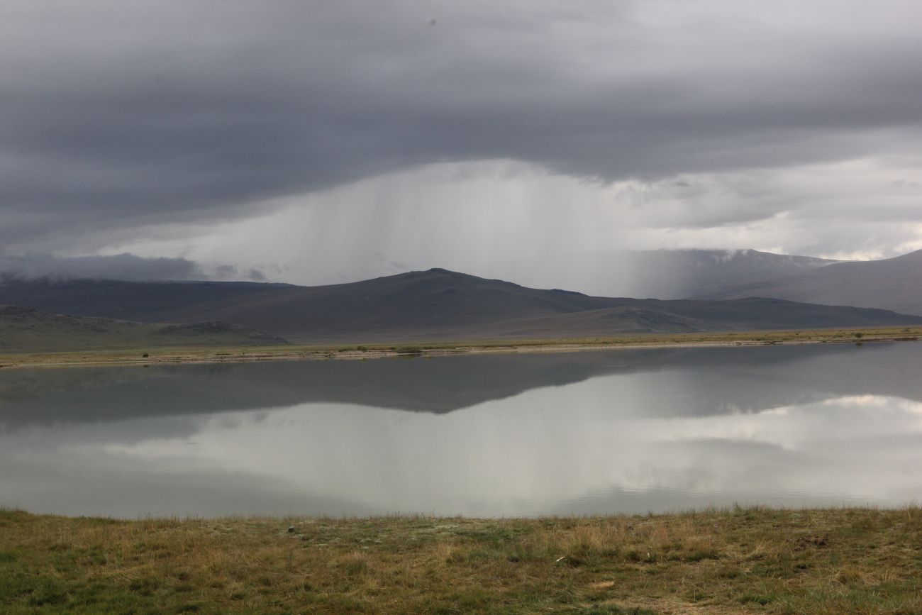 Окрестности Гусиного озера, image of landscape/habitat.