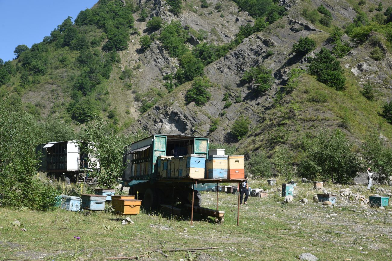 Нижнее течение Цесиахк, image of landscape/habitat.