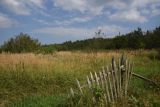 Image of landscape