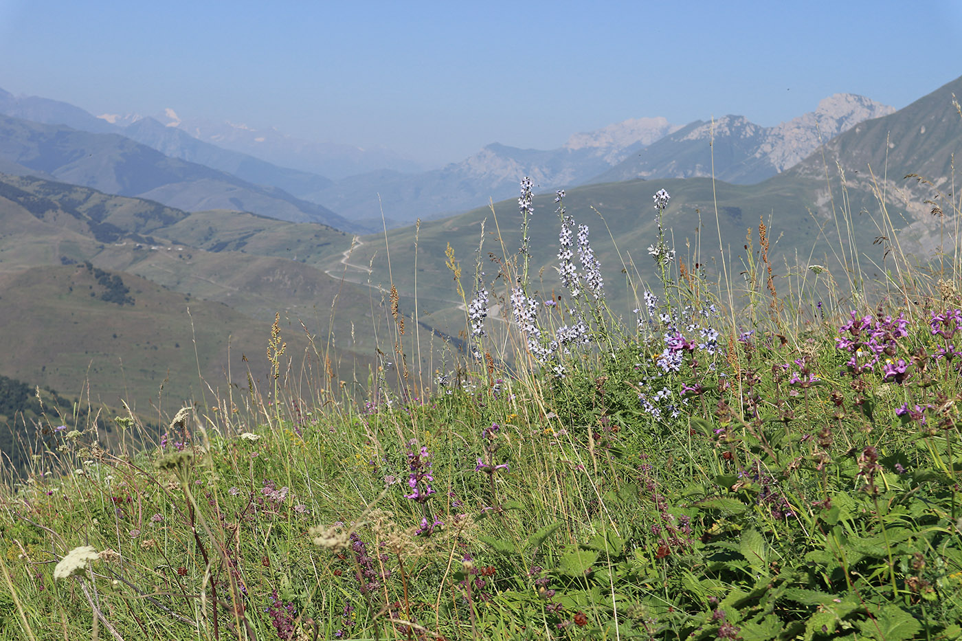 Гора Хиах, image of landscape/habitat.