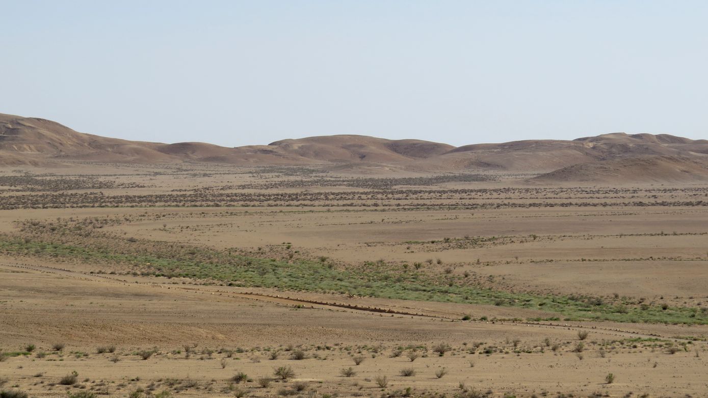 Равнина Мишор а-Сээфим, image of landscape/habitat.