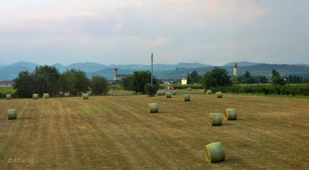 Верона и окрестности, image of landscape/habitat.