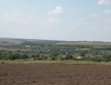Image of landscape