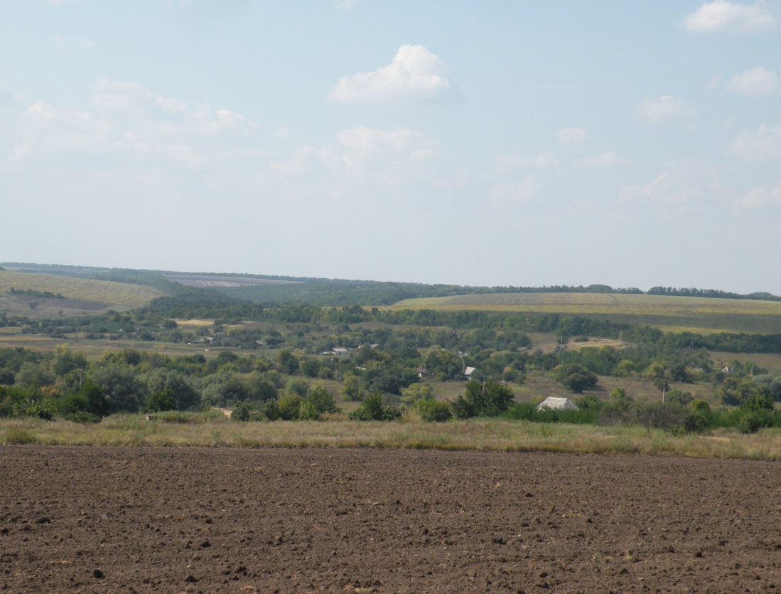 Балка Новогригоровская, изображение ландшафта.