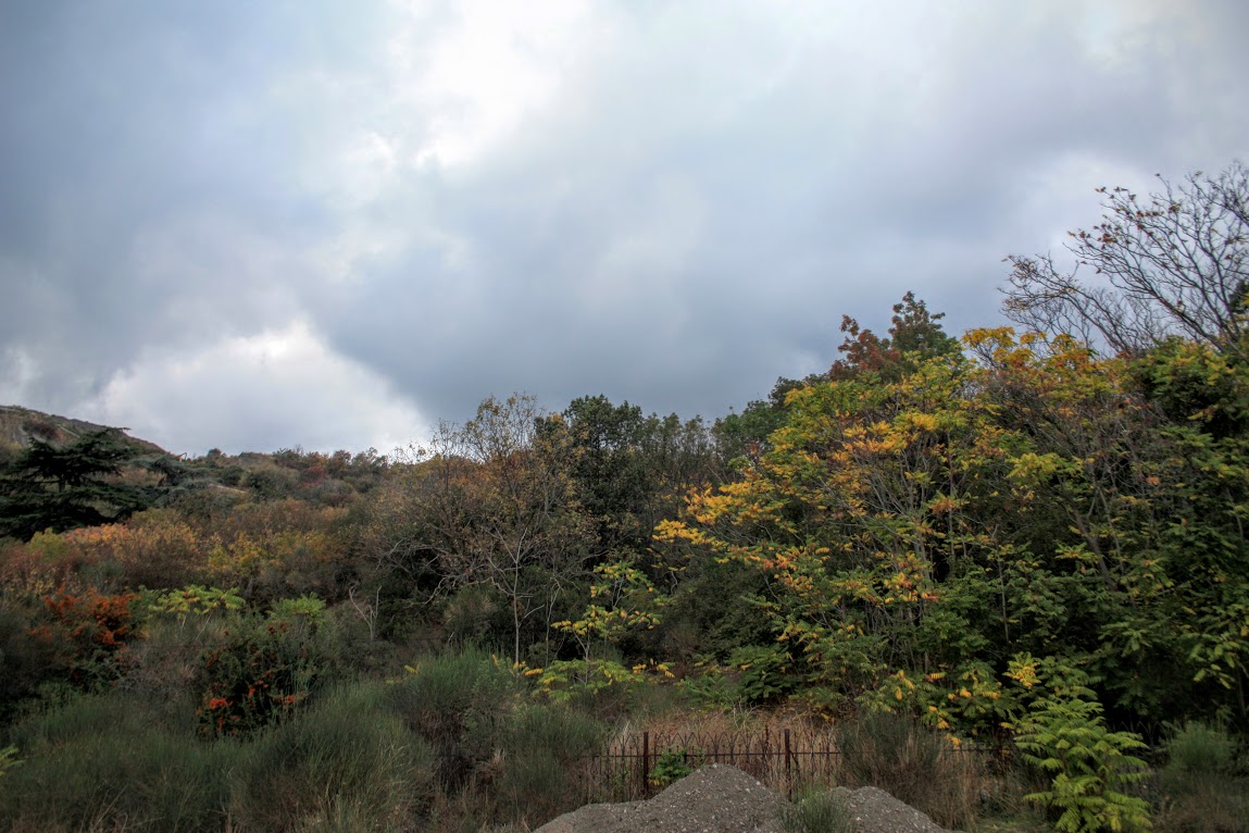 Аюдаг, image of landscape/habitat.