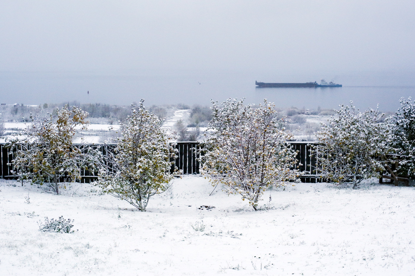 Окрестности села Красный Бор, image of landscape/habitat.