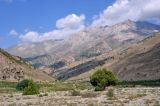 Долина реки Чапдара, image of landscape/habitat.