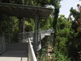 Mamu Tropical Skywalk, image of landscape/habitat.