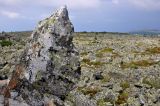 Хребет Зигальга, изображение ландшафта.