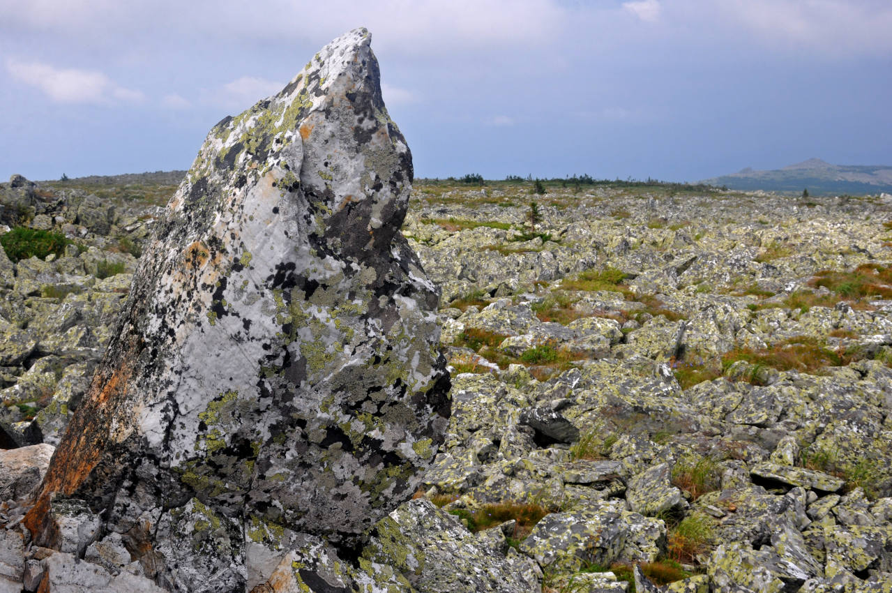 Хребет Зигальга, изображение ландшафта.