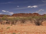 Alice Springs и окрестности, изображение ландшафта.