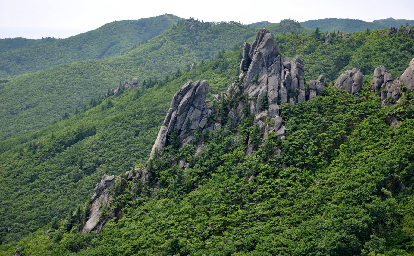 Скальный массив Замок, изображение ландшафта.