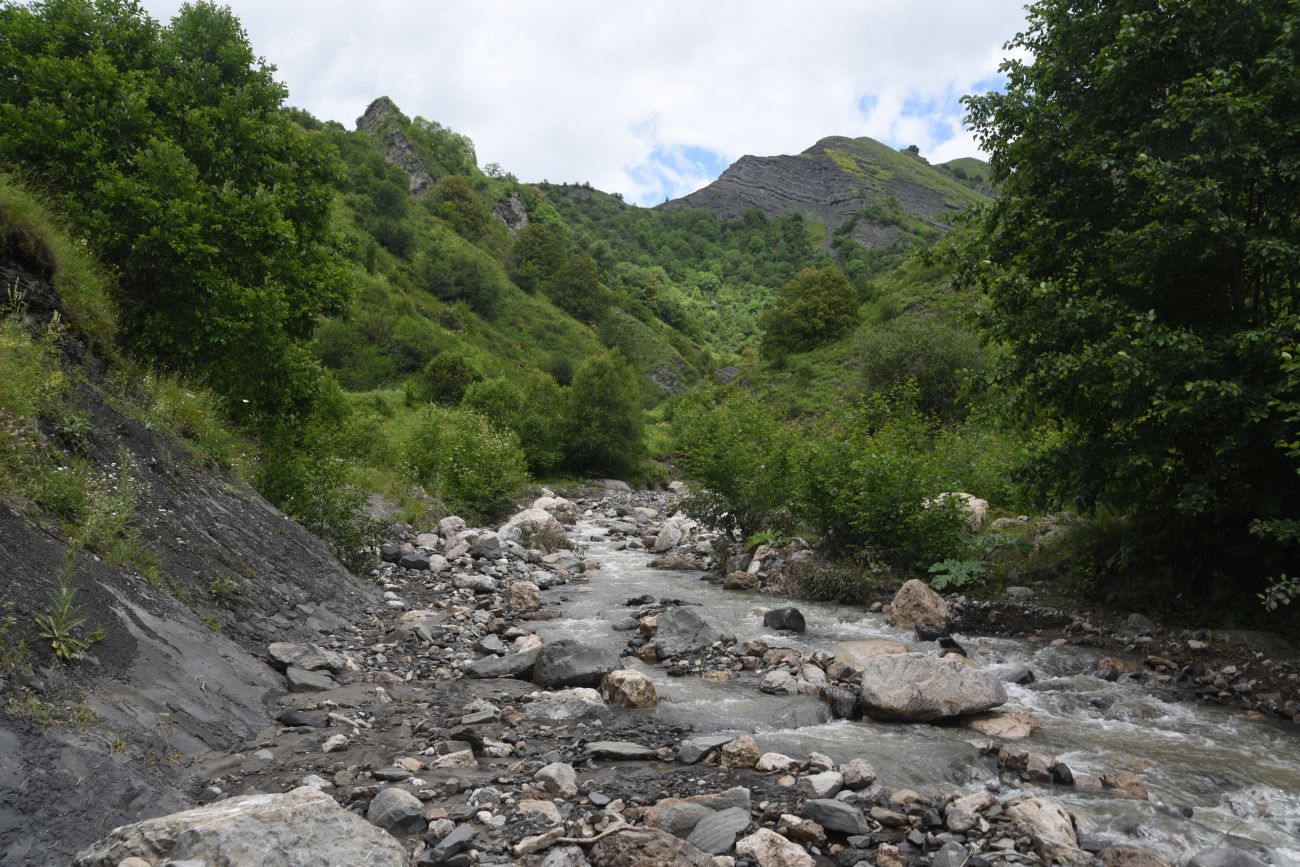 Ещё один левый приток Цесиахк, image of landscape/habitat.