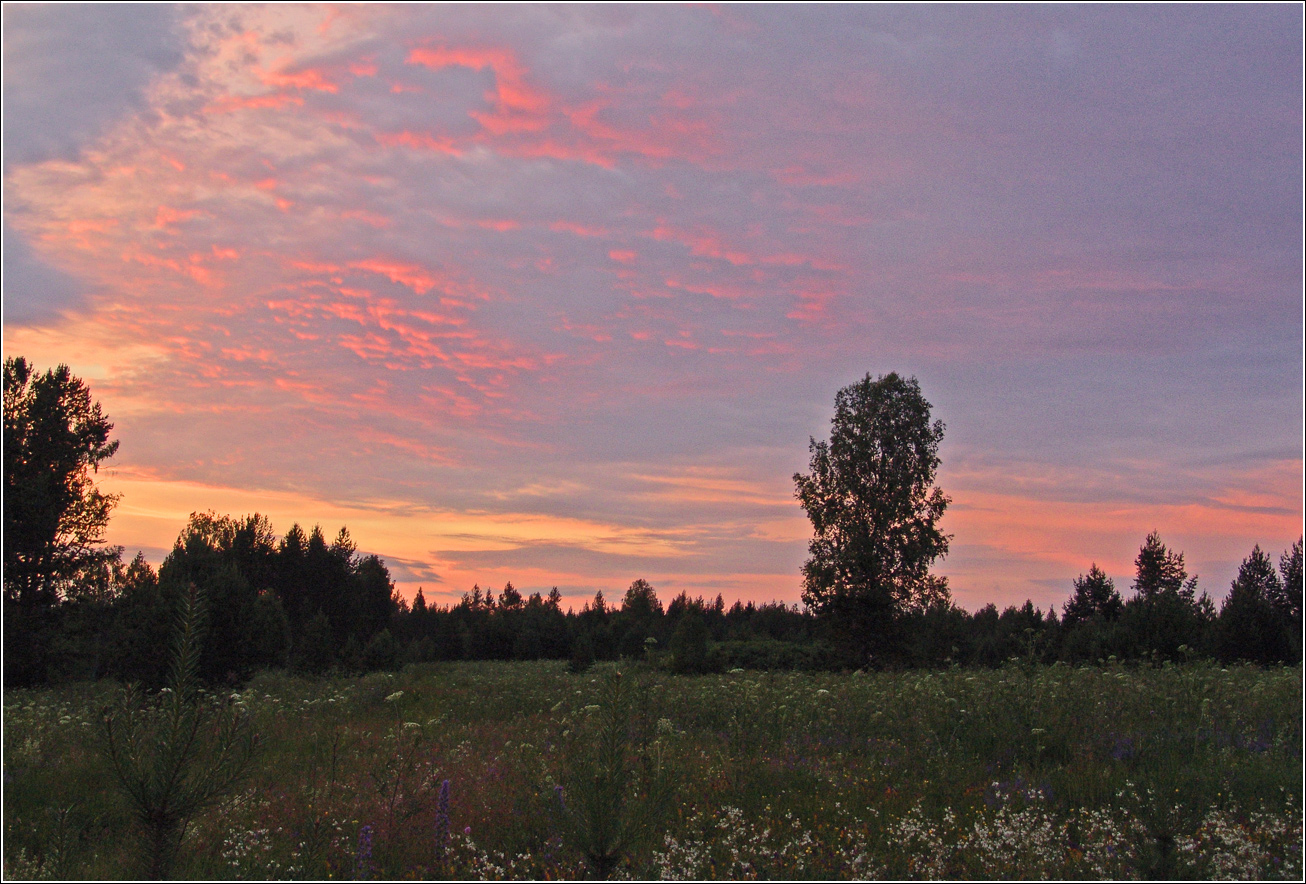 Вазуза, изображение ландшафта.