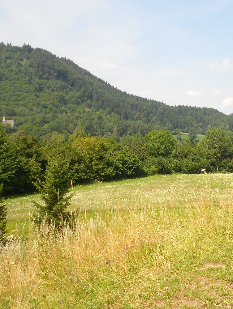 Фёлькермаркт, image of landscape/habitat.