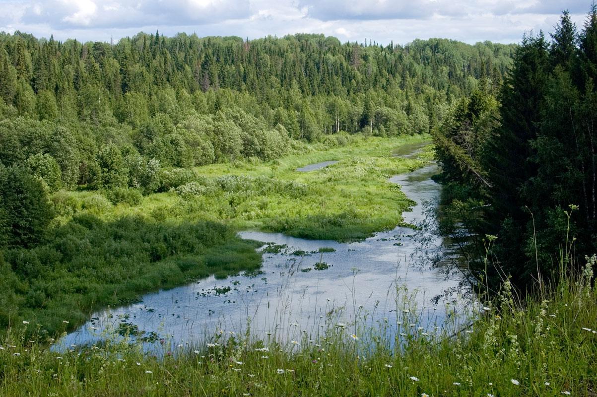 Долина реки Барда, image of landscape/habitat.