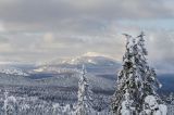 Окрестности хребта Ялангас, image of landscape/habitat.