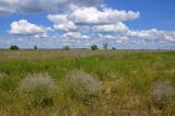 Image of landscape