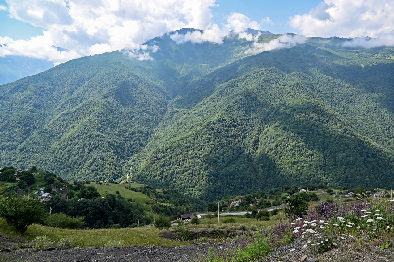 Ведучи, image of landscape/habitat.