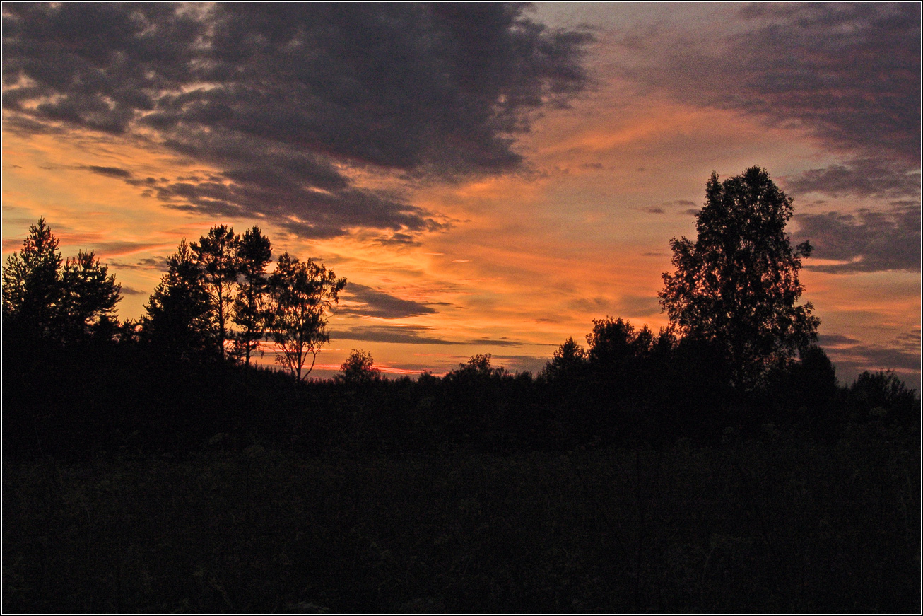 Вазуза, изображение ландшафта.