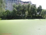 Изображение ландшафта