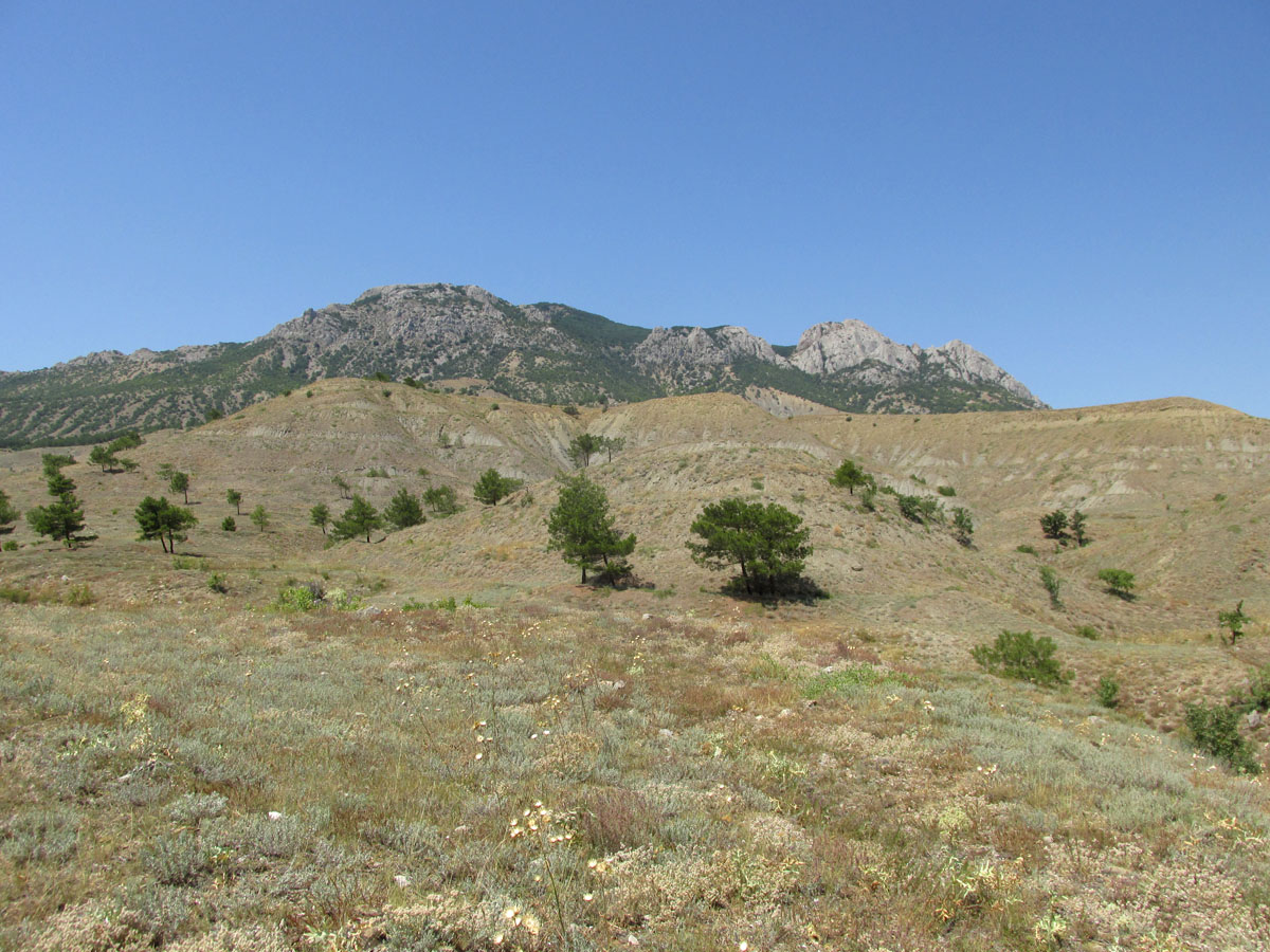 Лисья бухта, image of landscape/habitat.