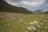 Перевал Алабель, image of landscape/habitat.