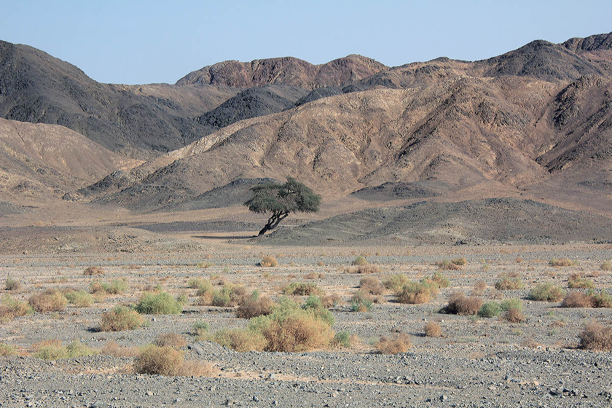 Вади-эль-Гемаль, изображение ландшафта.