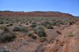 Image of landscape