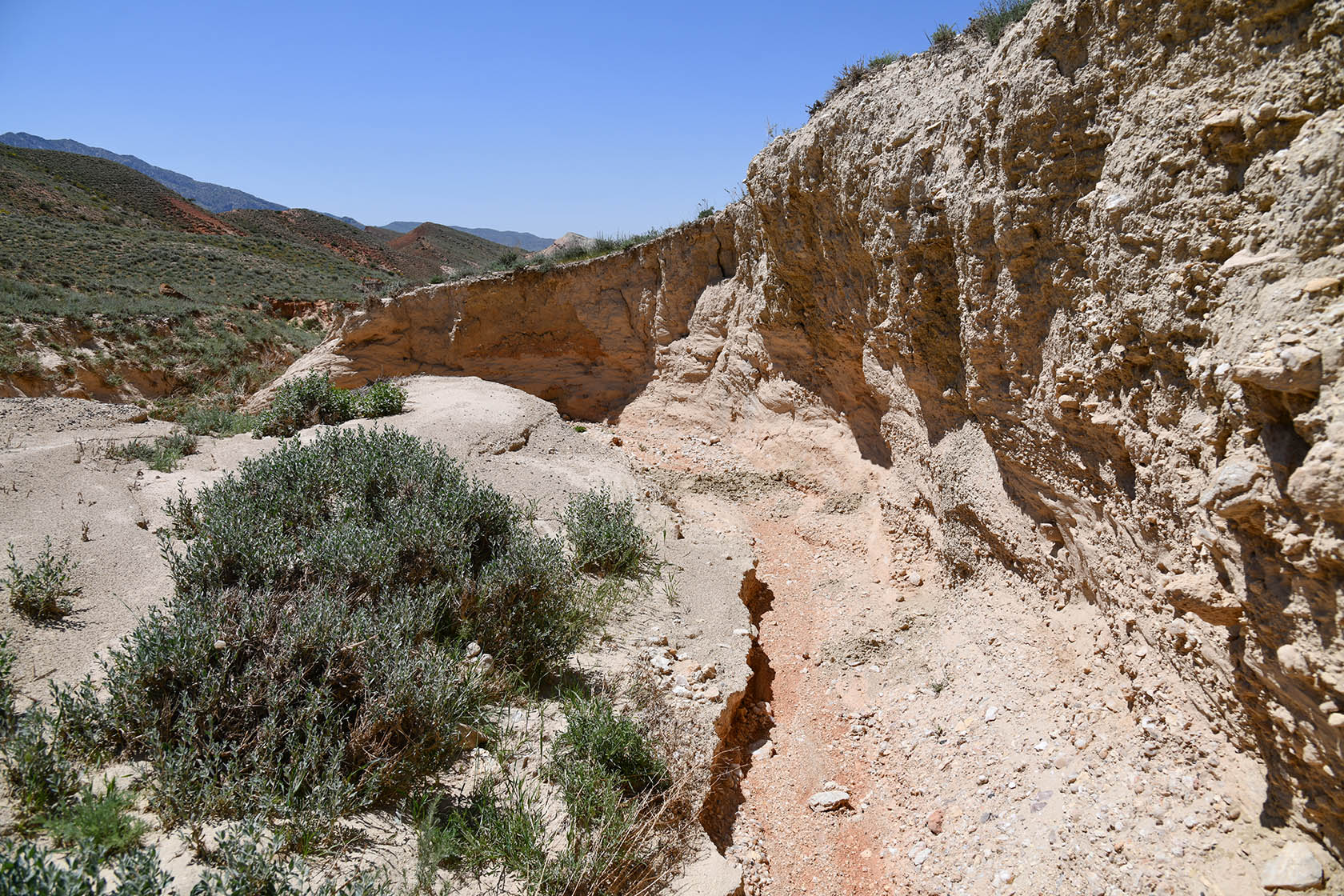 Мадыген, image of landscape/habitat.