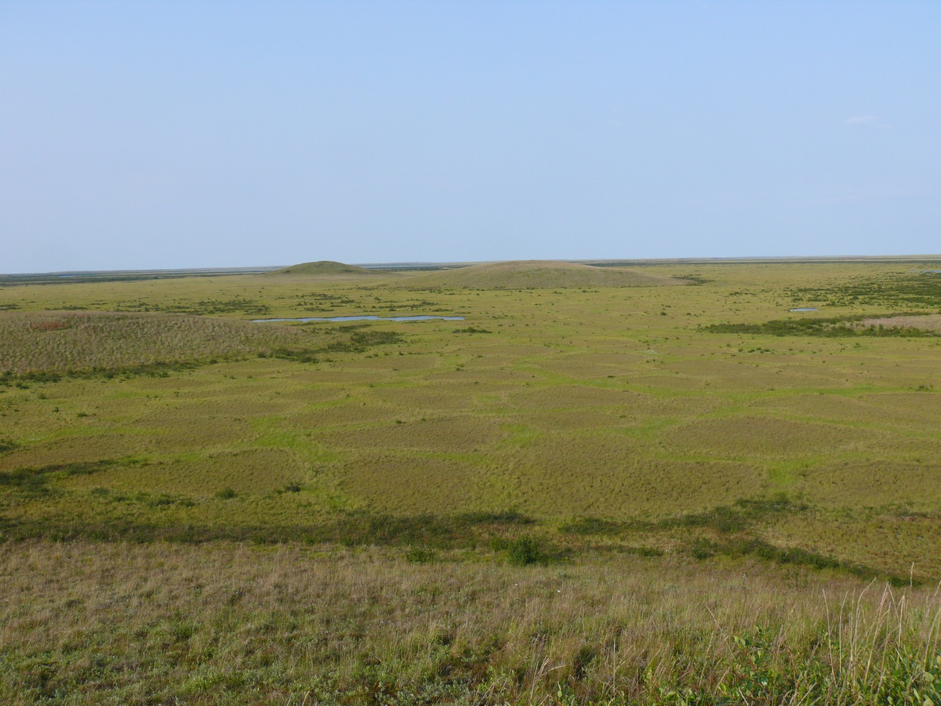 Яна, image of landscape/habitat.