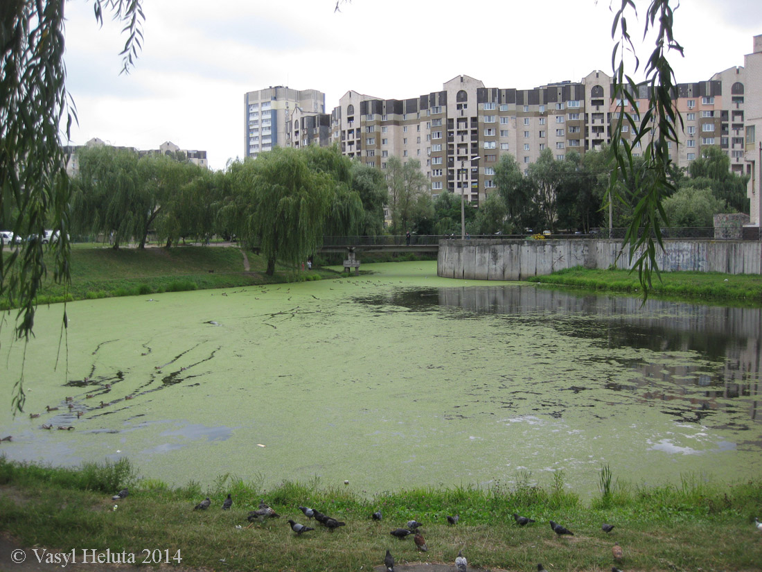 Южная Борщаговка, image of landscape/habitat.