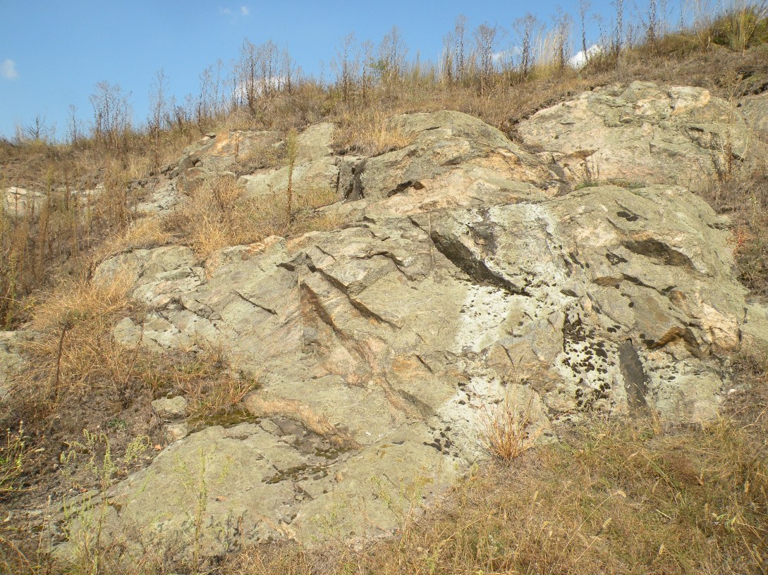 Балка Новогригоровская, image of landscape/habitat.