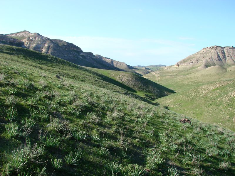 Окрестности Дехканабада, image of landscape/habitat.