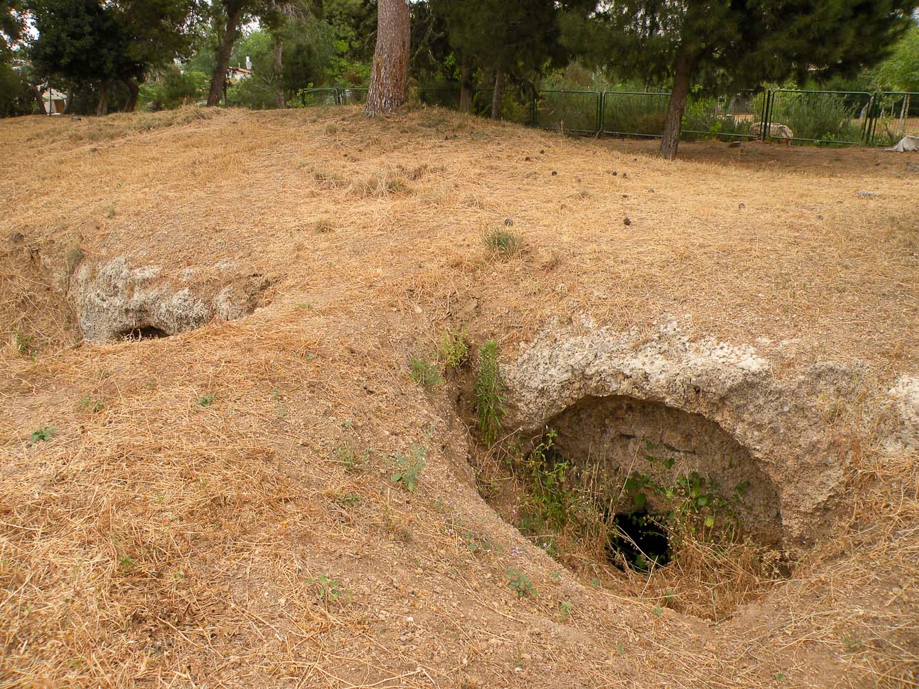 Кфар-Шмариягу, image of landscape/habitat.