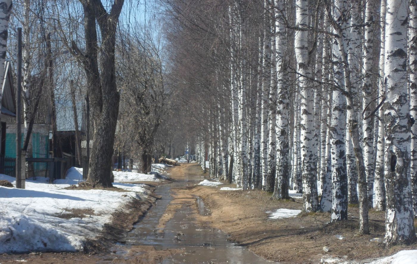 Весьегонск, изображение ландшафта.