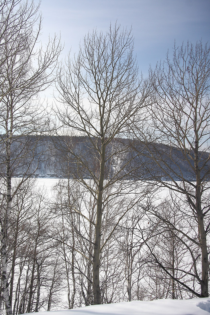 Тальцы, image of landscape/habitat.