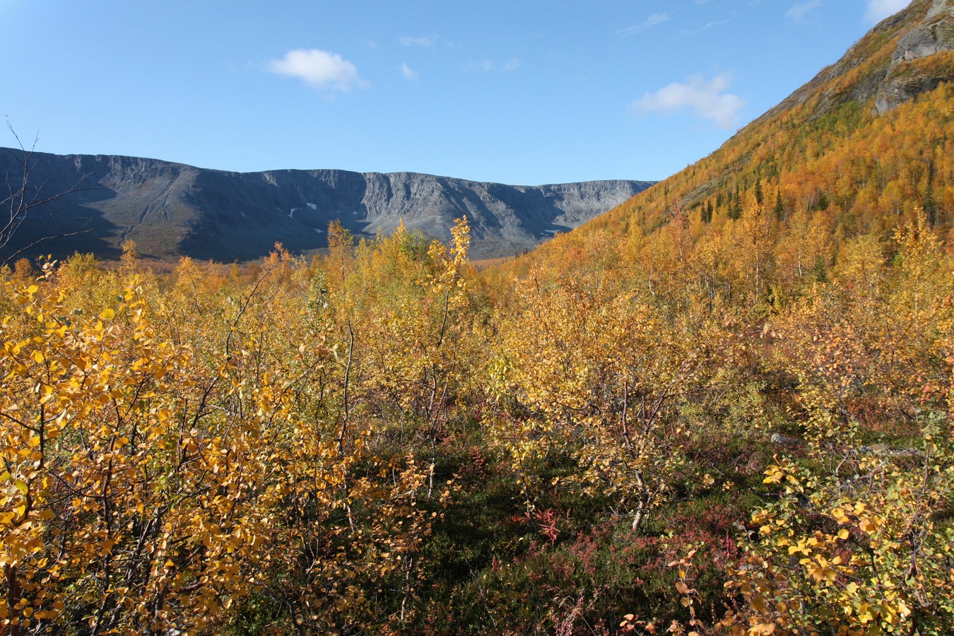 Долина Малого Вудъявра, image of landscape/habitat.