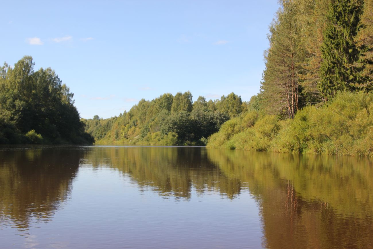 Окрестности устья реки Вига, image of landscape/habitat.