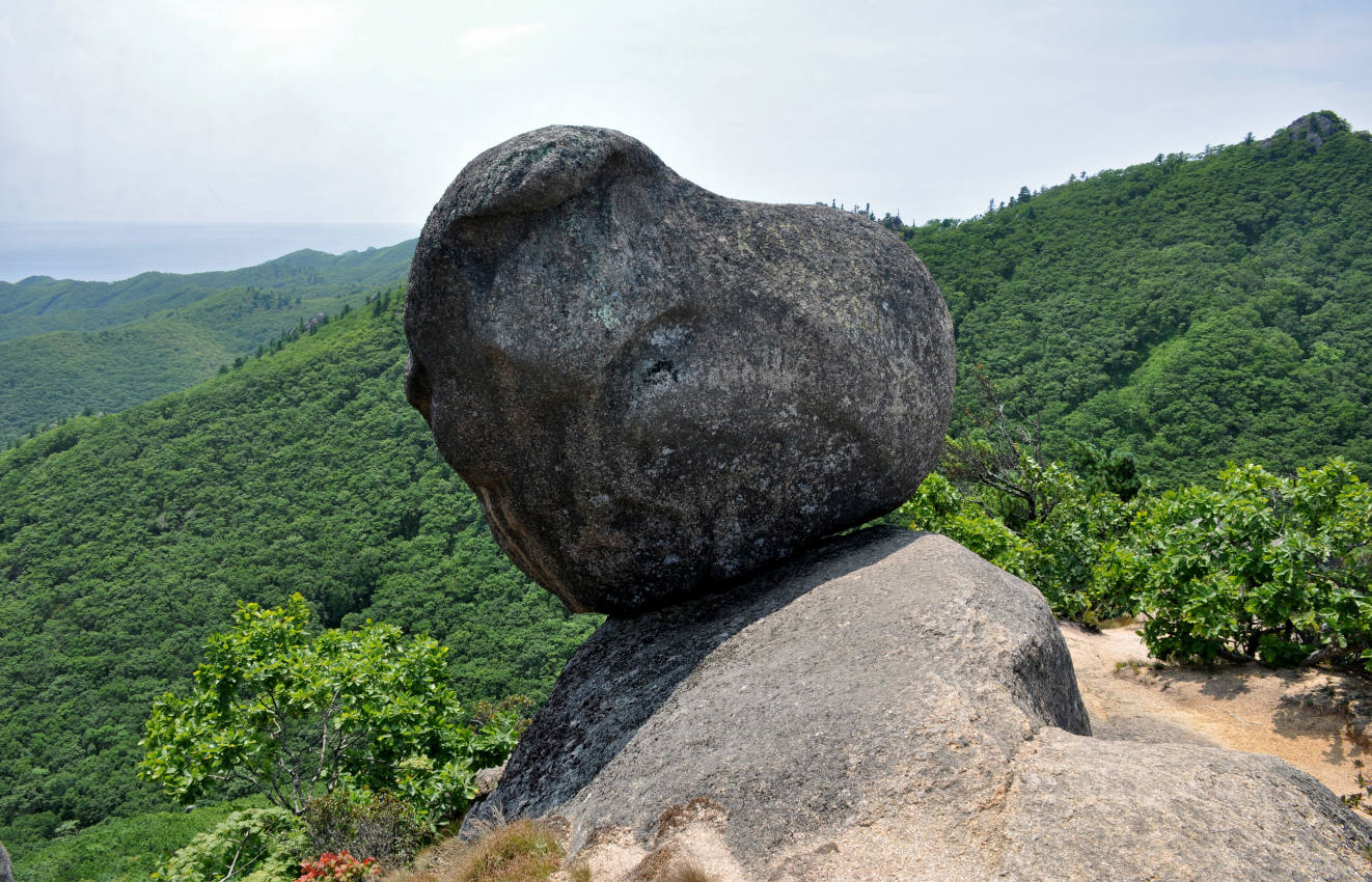 Скальный массив Замок, image of landscape/habitat.