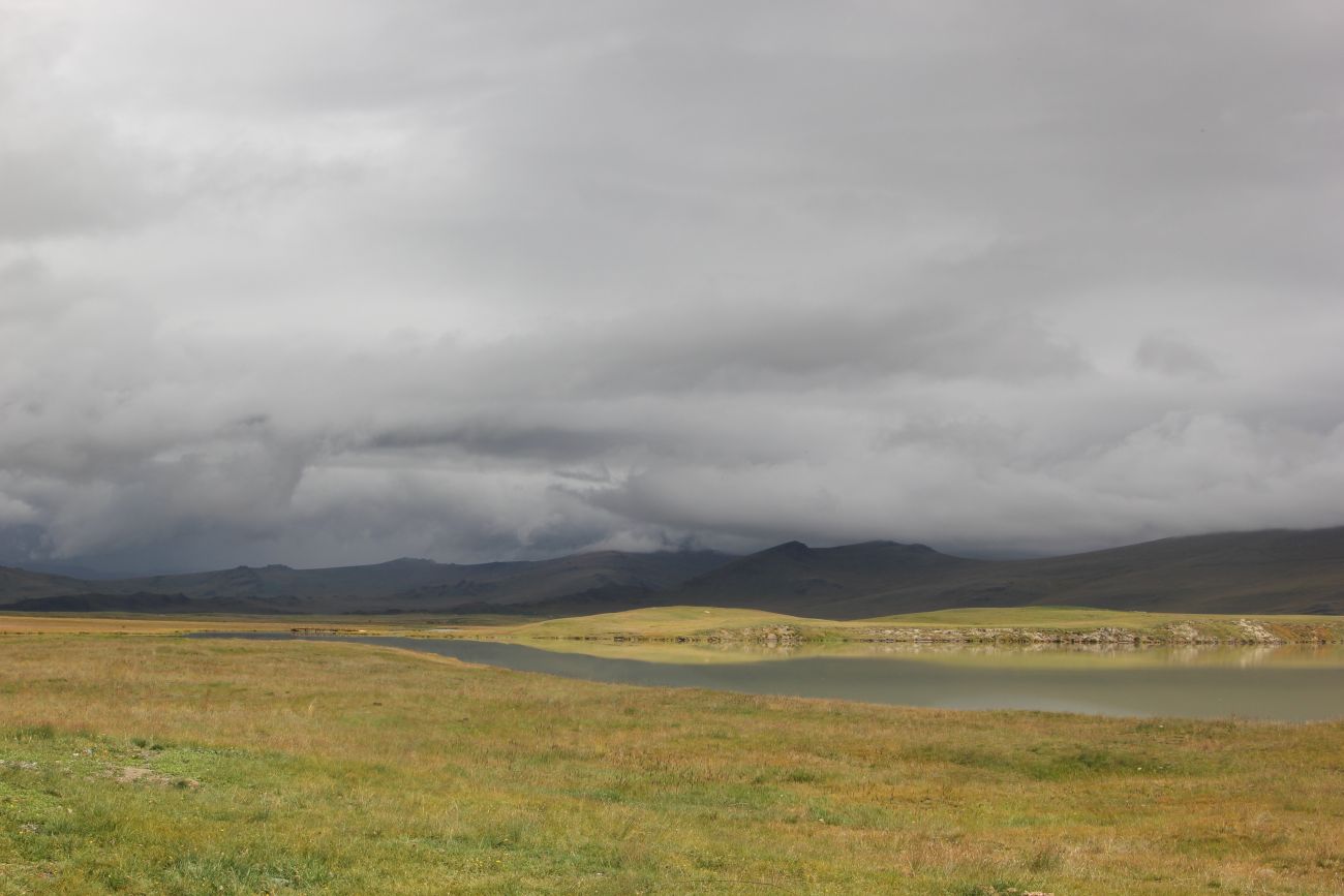 Окрестности Гусиного озера, image of landscape/habitat.