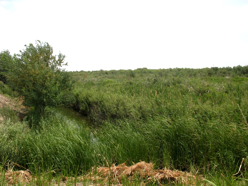 Кугитанг, image of landscape/habitat.