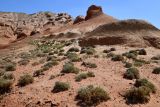 Image of landscape