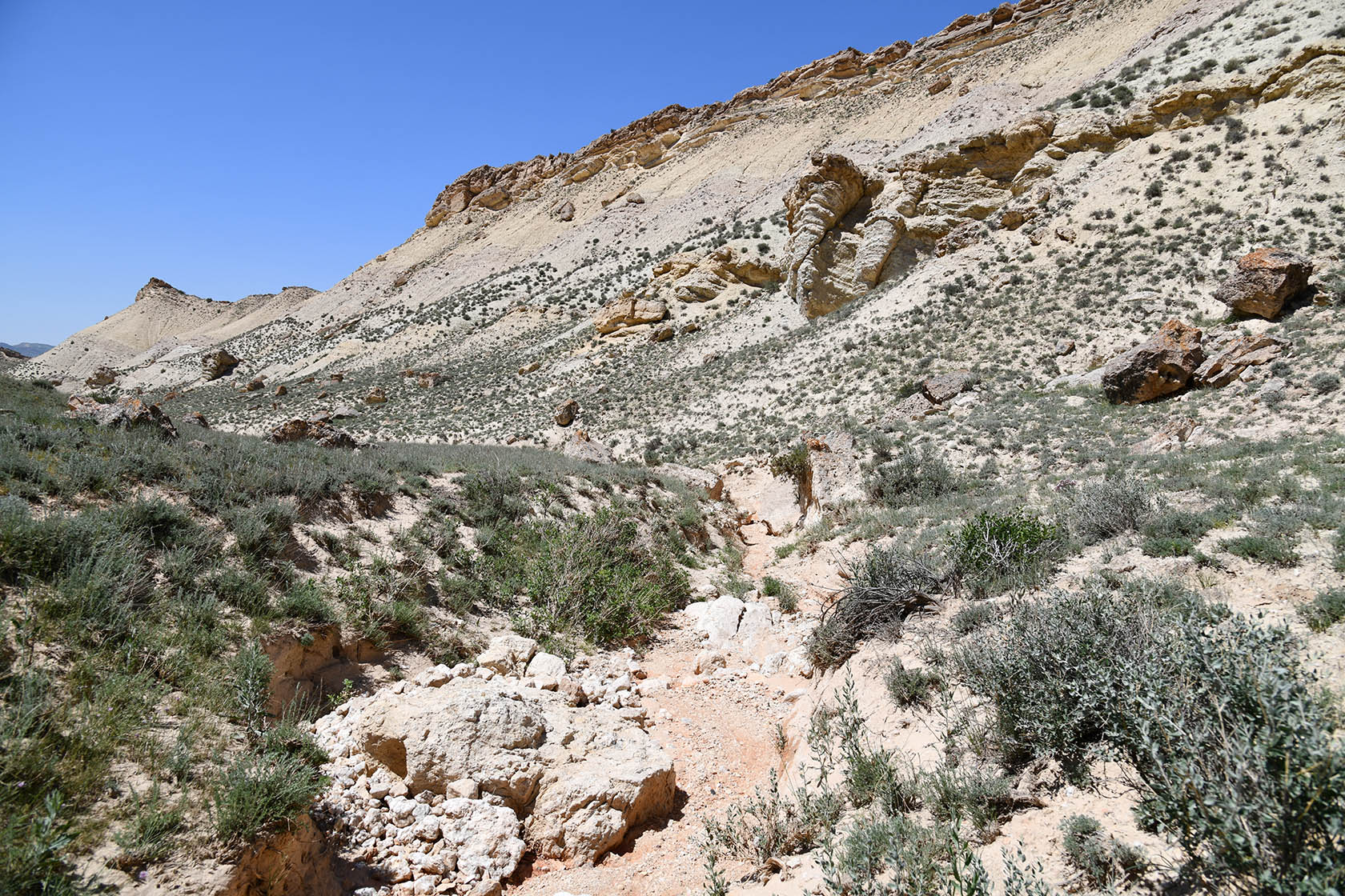 Мадыген, image of landscape/habitat.