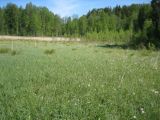 Image of landscape