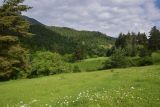 Image of landscape