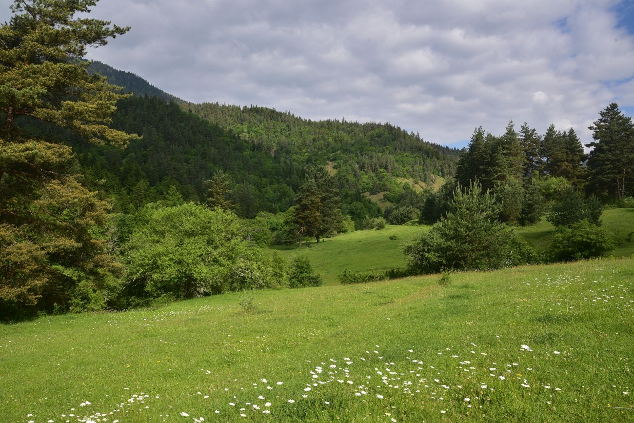 Цинубанская баня, image of landscape/habitat.