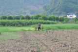 Деревня Лиогонг, image of landscape/habitat.